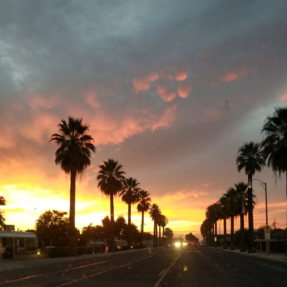 Meet your Posher, Lilia